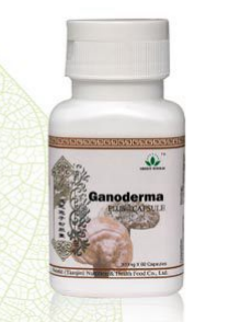 Ganoderma Plus Capsule